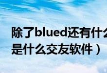 除了blued還有什么交友軟件比較好（blued是什么交友軟件）