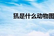 犼是什么動物圖片（犼是什么動物）