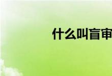 什么叫盲審（什么叫盲審）