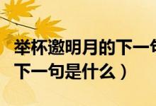 舉杯邀明月的下一句詩(shī)是什么（舉杯邀明月的下一句是什么）