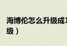 海博倫怎么升級成100級史詩（海博倫怎么升級）
