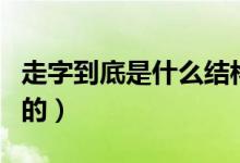 走字到底是什么結(jié)構(gòu)的（走字到底是什么結(jié)構(gòu)的）