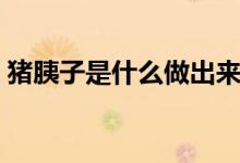豬胰子是什么做出來的（豬胰子是什么樣子）