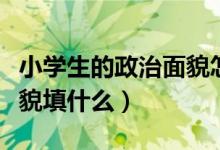 小學(xué)生的政治面貌怎么寫啊（小學(xué)生的政治面貌填什么）