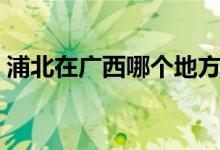 浦北在廣西哪個(gè)地方（浦北在廣西哪個(gè)地方）