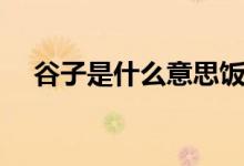 谷子是什么意思飯圈用語(yǔ)（谷子是什么）