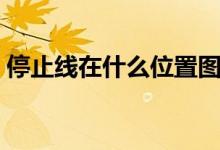 停止線在什么位置圖示（停止線在什么位置）
