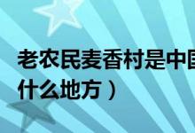 老農(nóng)民麥香村是中國什么地方（麥香村是中國什么地方）