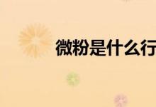 微粉是什么行業(yè)（微粉是什么）