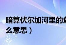 暗算伏爾加河里的魚（暗算中伏爾加的魚是什么意思）