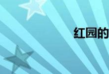 紅園的梗是什么？