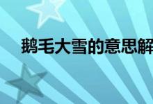 鵝毛大雪的意思解釋（鵝毛大雪啥意思）