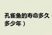 孔雀魚的壽命多久（孔雀魚的壽命最長的能活多少年）