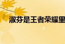 淑芬是王者榮耀里的誰（淑芬是什么梗）