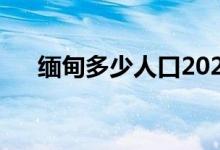 緬甸多少人口2021年（緬甸多少人口）