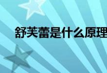 舒芙蕾是什么原理（舒芙蕾是什么東西）