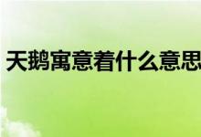 天鵝寓意著什么意思（天鵝寓意著什么意思）