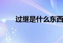 過繼是什么東西（過繼是什么意思）