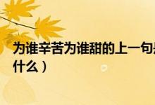 為誰辛苦為誰甜的上一句是啥（為誰辛苦為誰甜的后一句是什么）