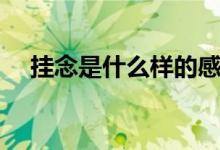 掛念是什么樣的感情（掛念是什么意思）