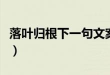 落葉歸根下一句文案（落葉歸根下一句是什么）