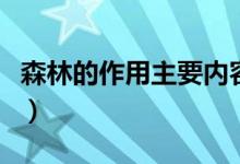 森林的作用主要內(nèi)容（森林的作用主要有哪些）