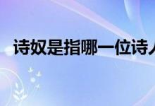 詩(shī)奴是指哪一位詩(shī)人（詩(shī)奴是指哪位詩(shī)人）