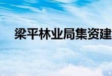 梁平林業(yè)局集資建房（lpl有幾家俱樂部）