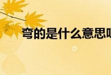 彎的是什么意思呀（彎的是什么意思）