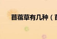 苜蓿草有幾種（苜蓿草分布在哪里呢）