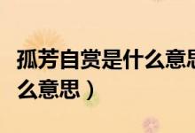 孤芳自賞是什么意思解釋一下（孤芳自賞是什么意思）