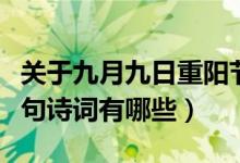 關(guān)于九月九日重陽(yáng)節(jié)的詩(shī)（九月九日重陽(yáng)節(jié)詩(shī)句詩(shī)詞有哪些）