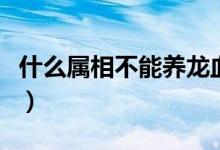 什么屬相不能養(yǎng)龍血樹（養(yǎng)龍血樹有什么講究）