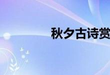 秋夕古詩賞析（秋夕古詩）