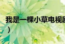 我是一棵小草電視劇劇情（講述的是什么故事）