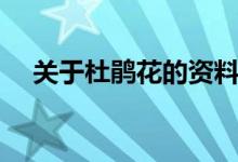 關(guān)于杜鵑花的資料（有關(guān)杜鵑花的簡介）