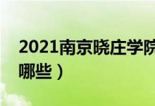 2021南京曉莊學院專業(yè)排名（最好的專業(yè)有哪些）