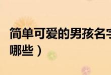簡單可愛的男孩名字（簡單可愛的男孩名字有哪些）