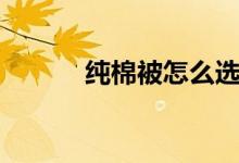 純棉被怎么選（怎么挑選棉被）