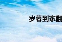 歲暮到家翻譯（歲暮到家）