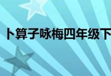 卜算子詠梅四年級下冊（卜算子詠梅毛譯文）