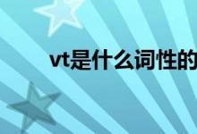vt是什么詞性的詞（vt是什么詞性）