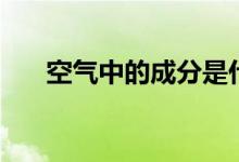 空氣中的成分是什么（空氣中的成分）