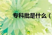?？婆鞘裁矗▽？婆鞘裁匆馑迹?class=