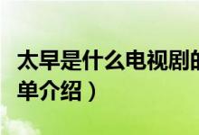 太早是什么電視劇的主題曲?。ㄓ羞@部劇的簡單介紹）