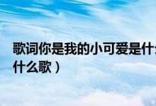 歌詞你是我的小可愛是什么歌（歌詞你是我的小可愛具體是什么歌）