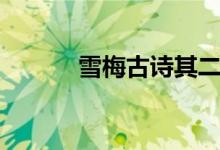 雪梅古詩其二（雪梅古詩其二）