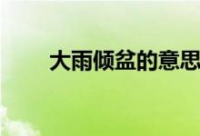 大雨傾盆的意思（大雨傾盆的意思）