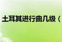 土耳其進行曲幾級（土耳其進行曲是第八級）