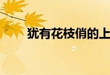 猶有花枝俏的上一句（猶有花枝俏）